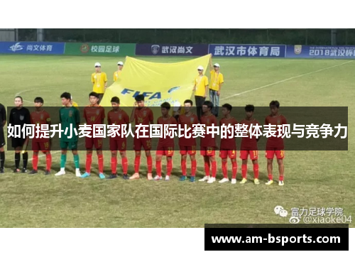如何提升小麦国家队在国际比赛中的整体表现与竞争力