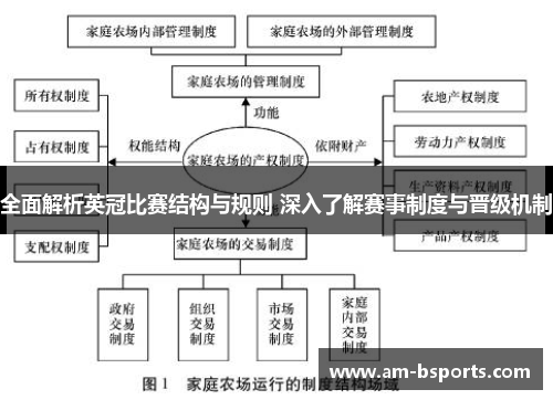 全面解析英冠比赛结构与规则 深入了解赛事制度与晋级机制