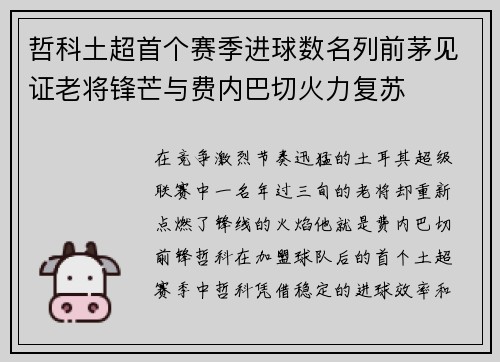 哲科土超首个赛季进球数名列前茅见证老将锋芒与费内巴切火力复苏